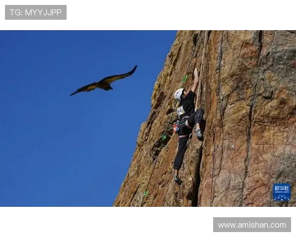 武汉攀岩队与杭州攀岩队技术对比分析赛后复盘