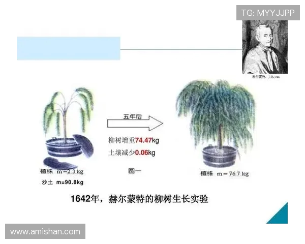 邓伯什与赫尔蒙特的科学争论与思想碰撞探讨